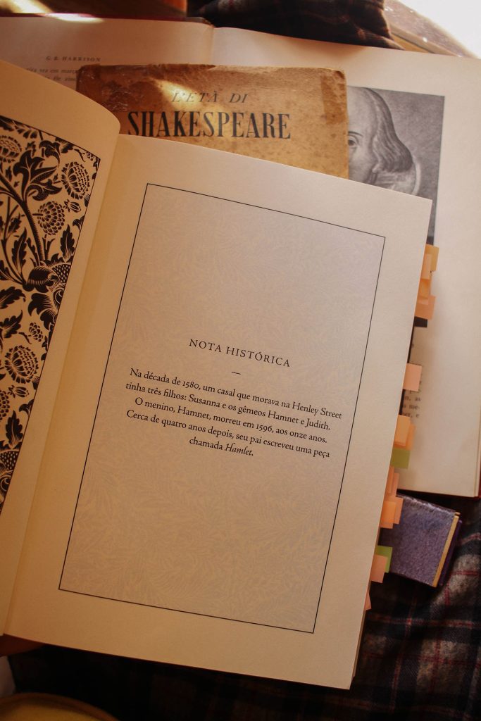 Hamnet - um livro que me fez chorar até soluçar
