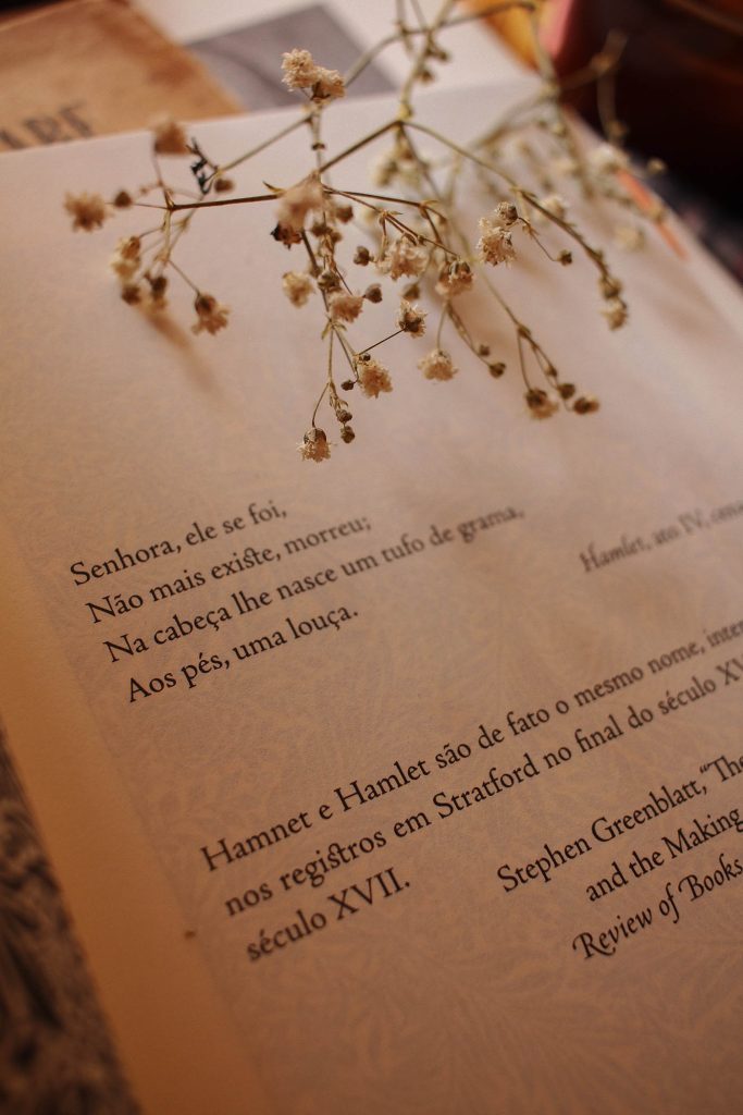 Hamnet - um livro que me fez chorar até soluçar