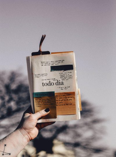 Todo dia: Relendo um dos meus livros favoritos