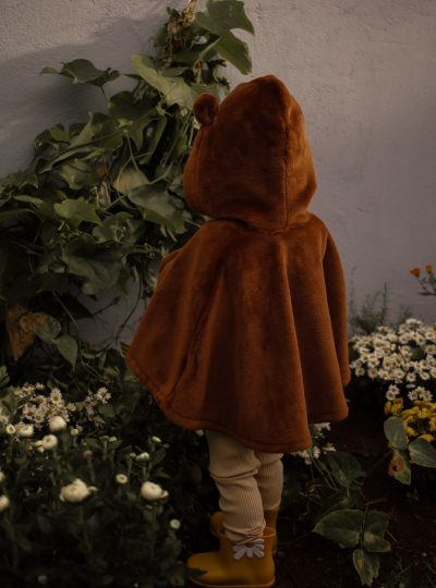 Manhãs de outono no jardim